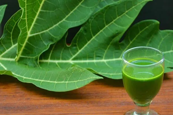 20210620 152016 353274 uong nuoc la du du co.max 800x800 1