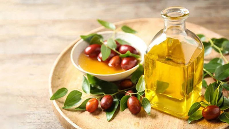 20230113 043111 269061 dau jojoba.max 800x800 1