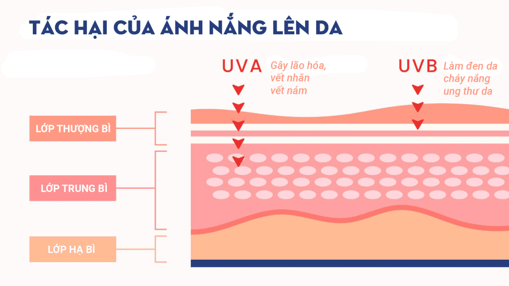 ánh nắng mặt trời