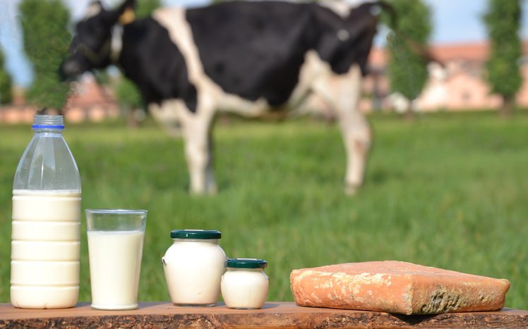 Lactoferrin là gì 2023? 2 Lactoferrin