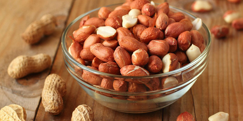 nguồn protein