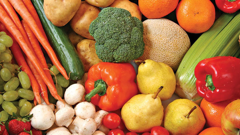 Vitamin và các chất dinh dưỡng