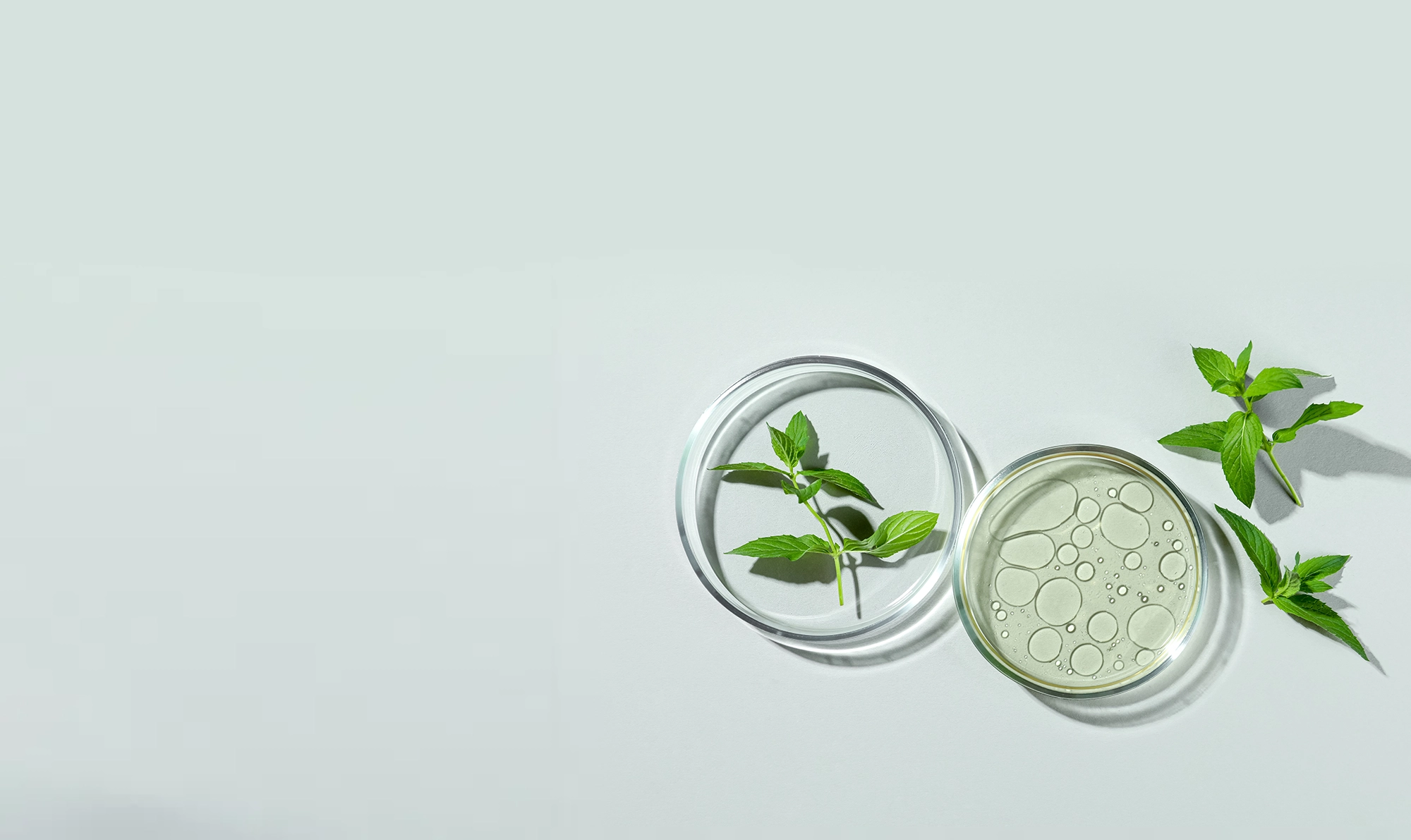 GreenTec hintergrund 2