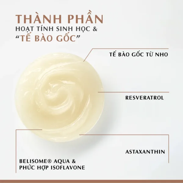 Kem dưỡng tế bào gốc cho da lão hóa Dr.Belter 307 VivaCell 24 Anti Age 50ml. - Ảnh 4