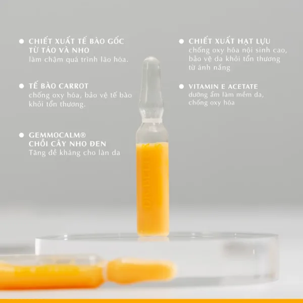 Alternative view of Tinh chất tế bào gốc cho da lão hóa Dr Belter 538 No.15 Phytocell-Grenadine (2ml).