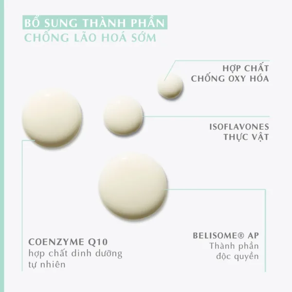 Serum thuần chay Dr.Belter 761 Phyto sensation Elixir 30ml. - Ảnh 3
