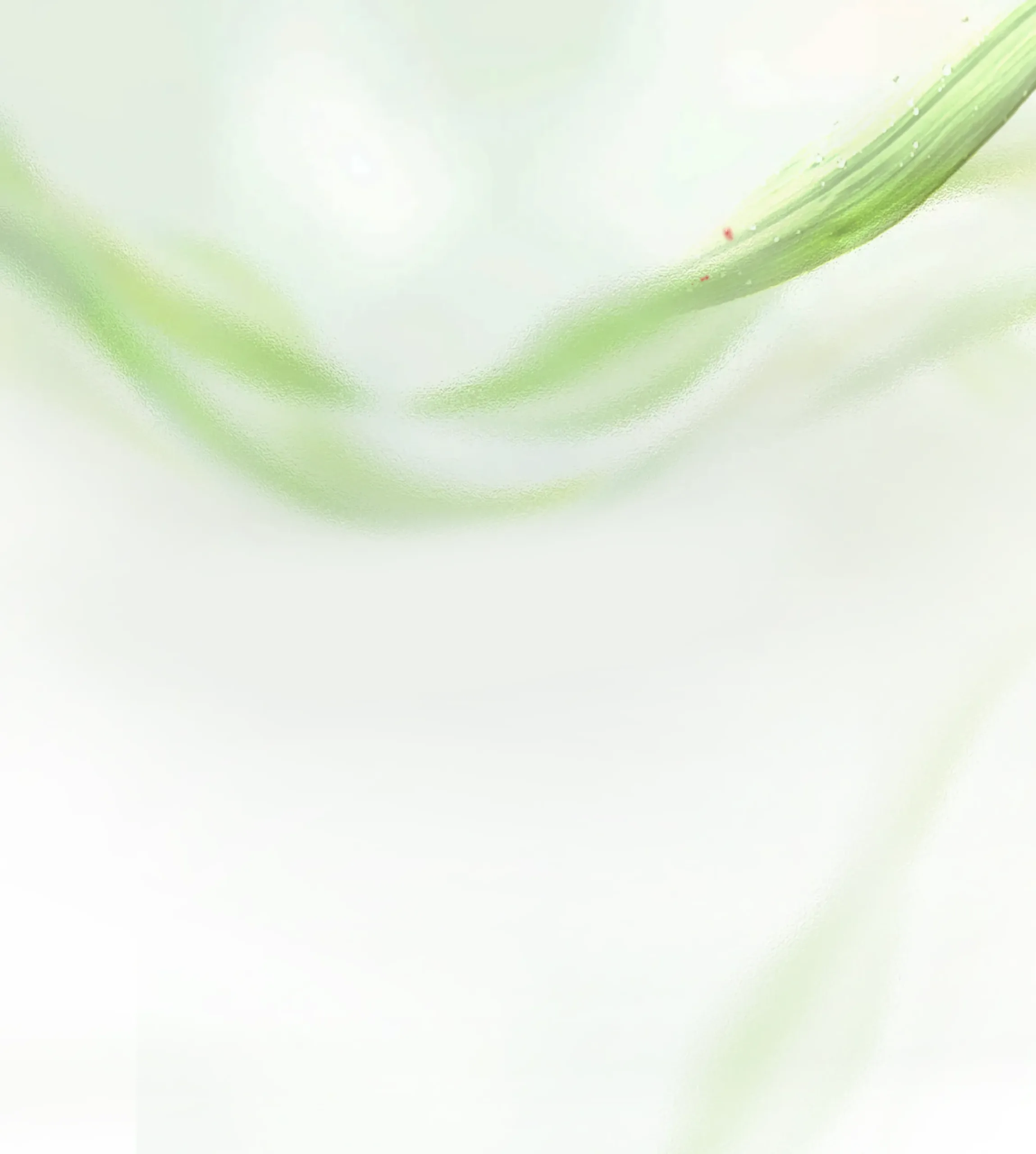 LT9 CHEMICAL PEEL.1 png scaled